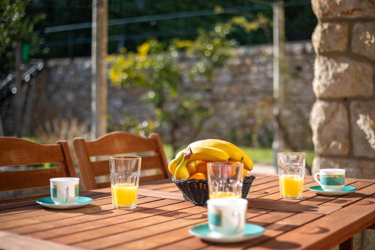 Apartment Villa Ahava Garden Ντουμπρόβνικ Εξωτερικό φωτογραφία